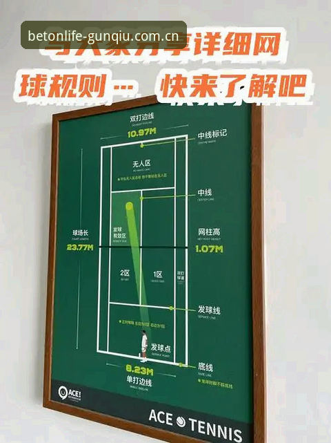 避开网球赔率误判的实用技巧——从迪亚洛晋级说起